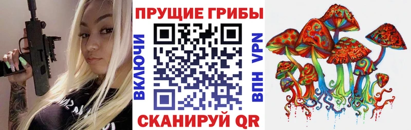 дарнет шоп  Алагир  Псилоцибиновые грибы MAGIC MUSHROOMS 